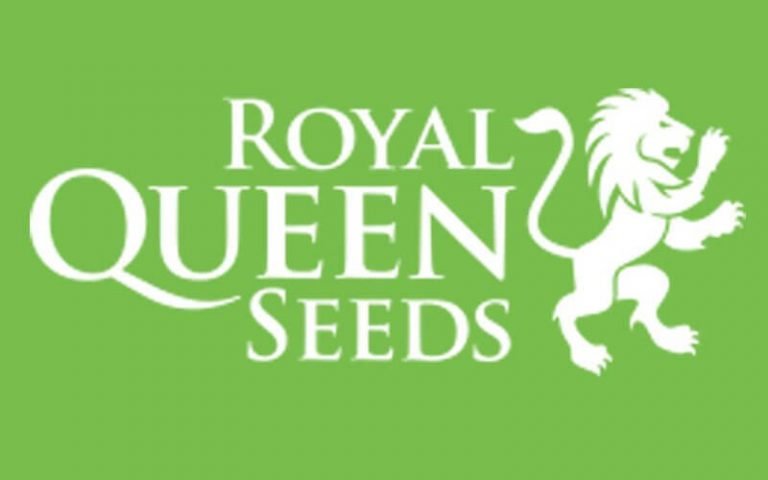 Royal Queen Seeds