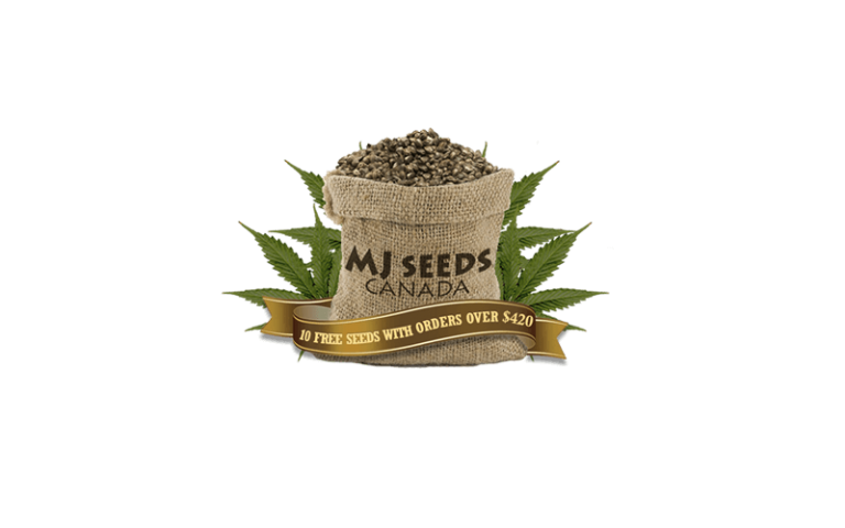 MJ Seeds Canada