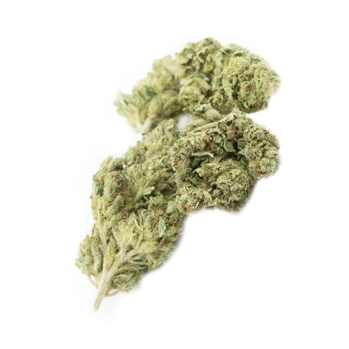 Afghan Kush x Super Skunk