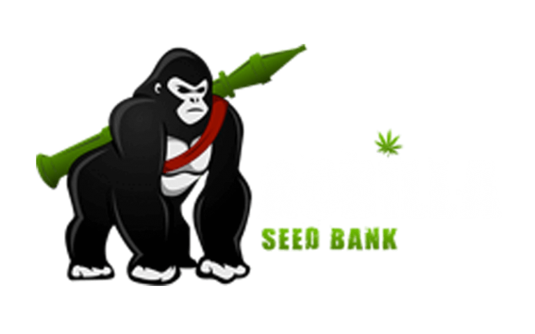 Gorilla Seeds
