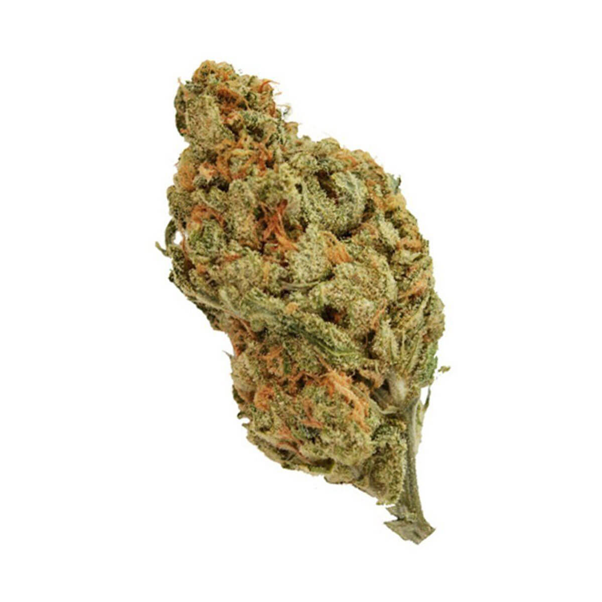 American Haze x California Haze