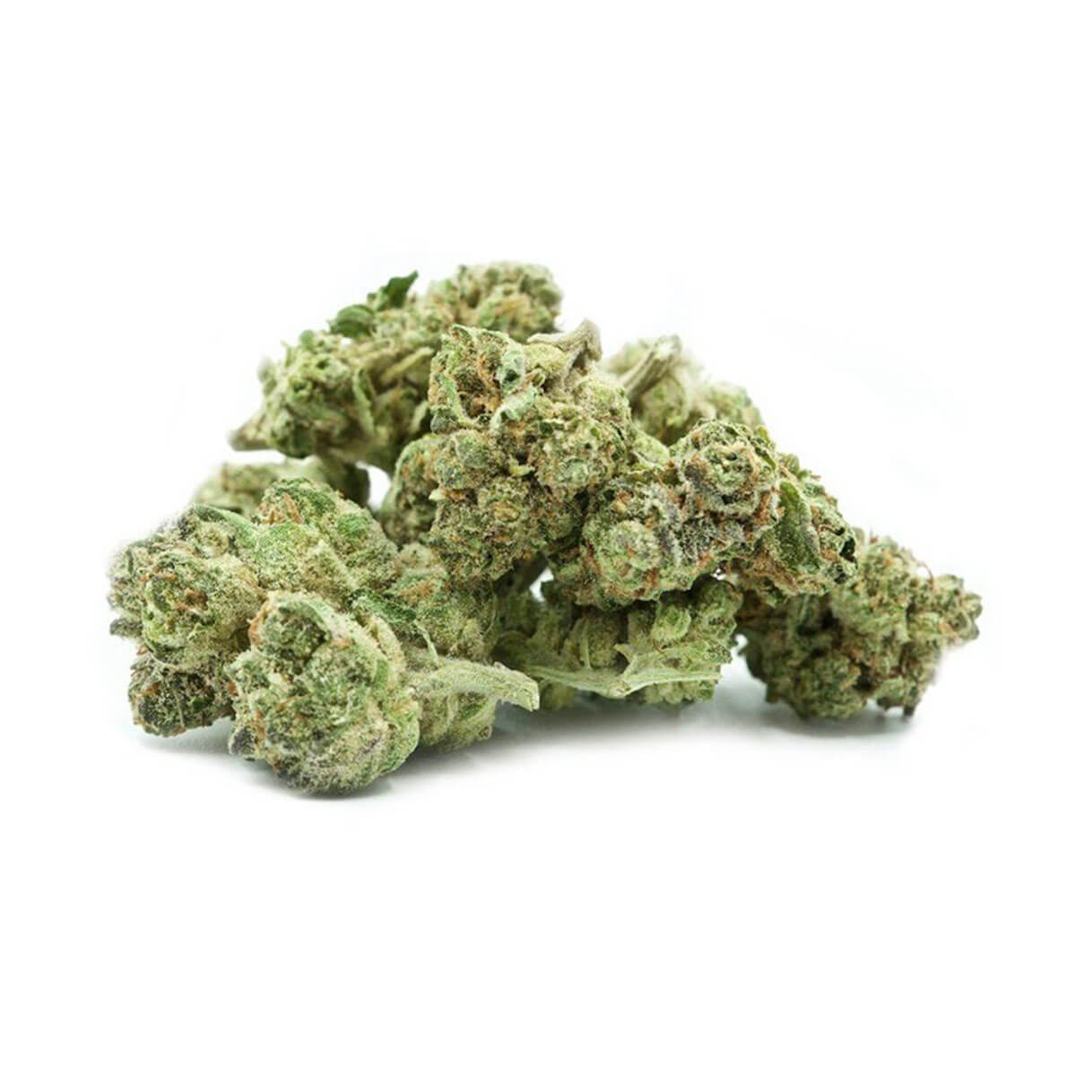 Amnesia x Nicole Kush