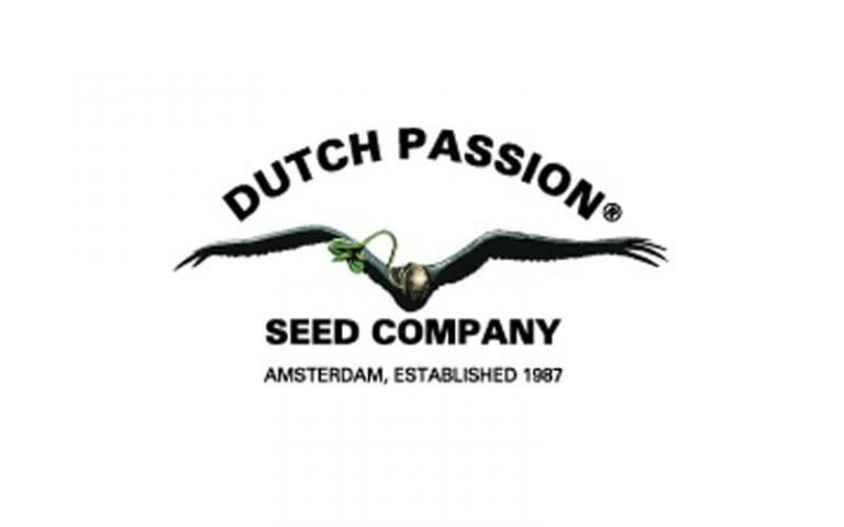Dutch Passion