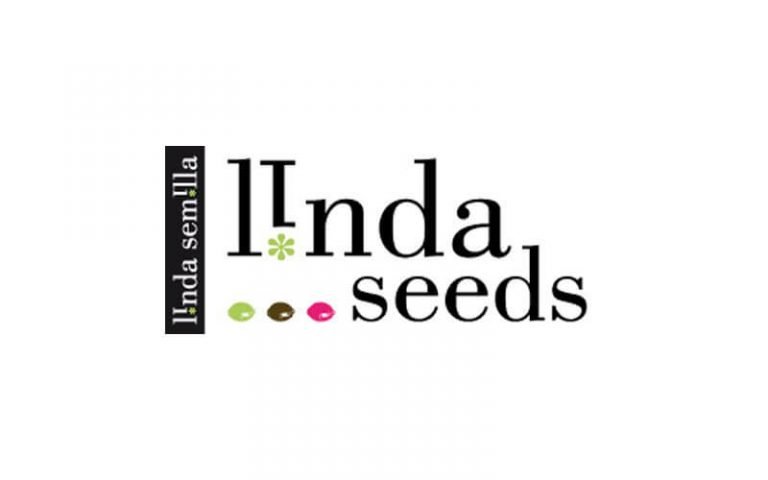 Linda Seeds