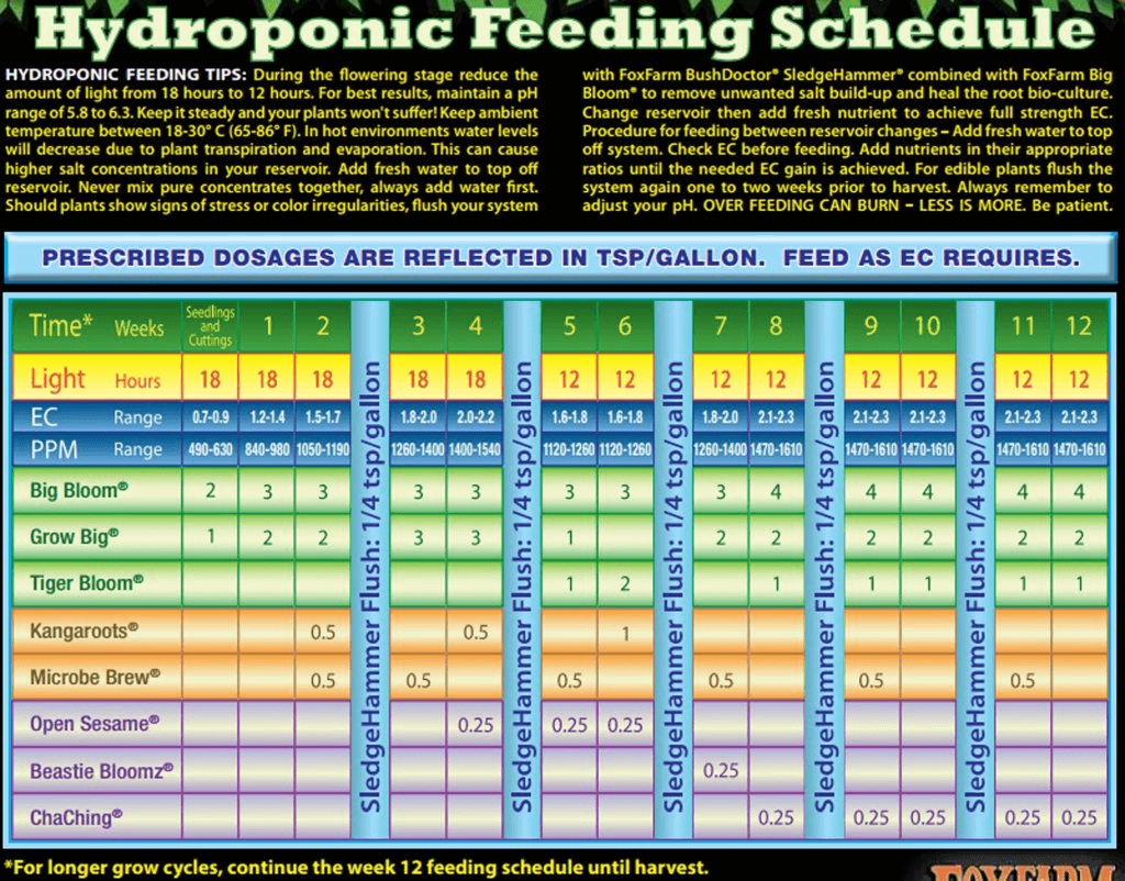 Fox Farm Feeding Schedule A Beginner’s Guide