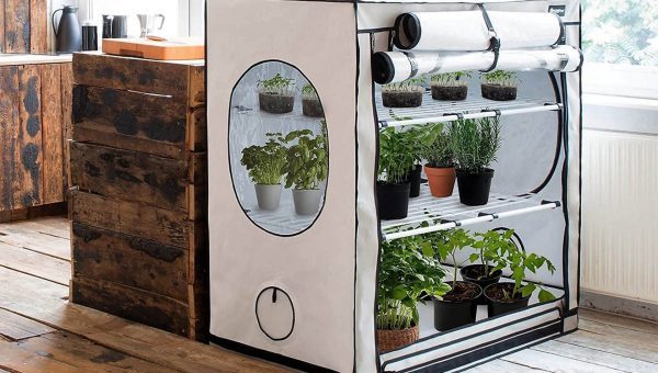 Cannabis Grow Boxes of 2021