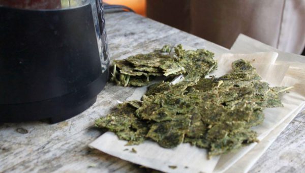 Dabpress Rosin Presses
