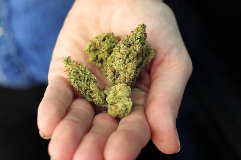 Person holding a buds