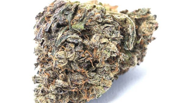 Purple Gelato