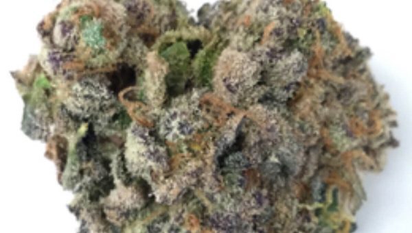 Sour Cookies Strain