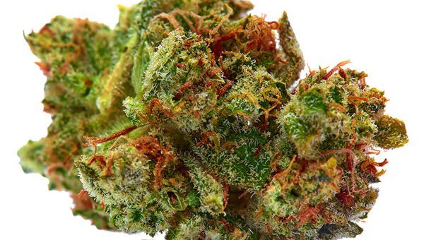 Sour Diesel Strain