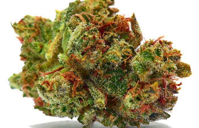 Sour Diesel Strain
