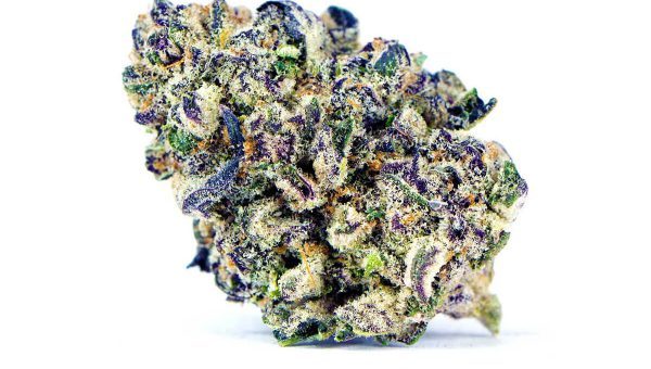 Purple Punch Strain