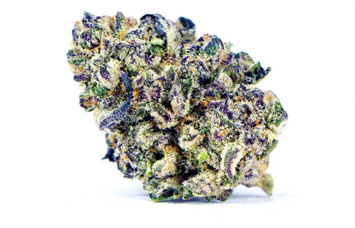 Purple Punch Strain