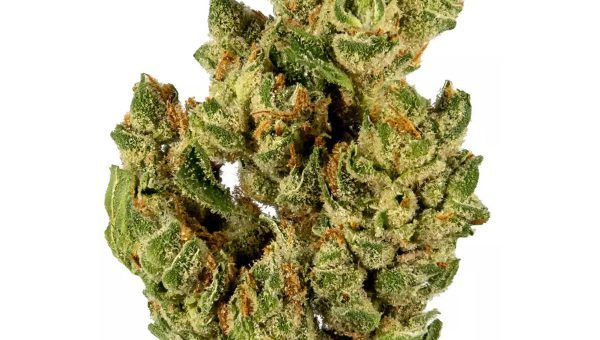 Banana Og Strain