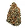 Marijuana Seeds For Sale | Best Cheap Seeds From Top Breeders