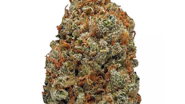LSD Strain