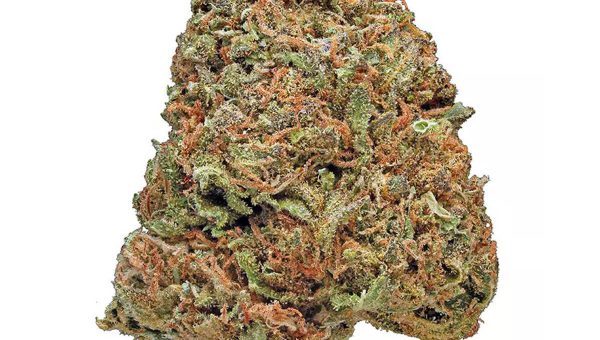 Maui Waui Strain