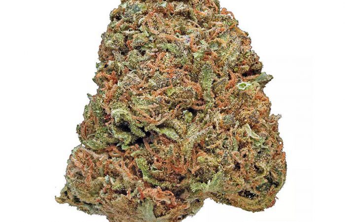 Maui Waui Strain