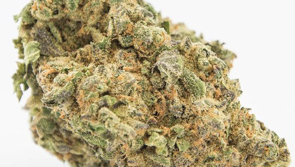 ATF (Alaskan Thunderfuck) Strain