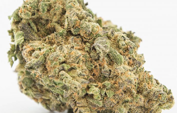 ATF (Alaskan Thunderfuck) Strain