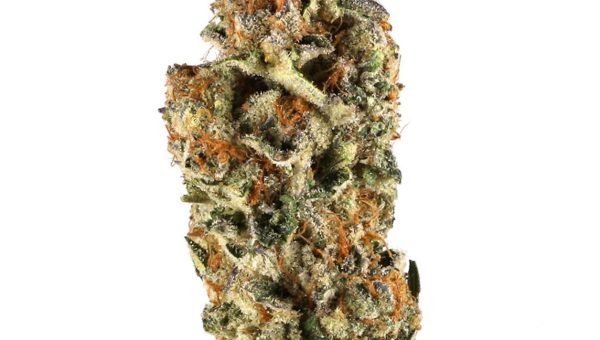 Do-Si-Dos Strain