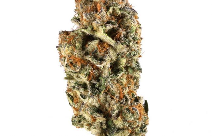 Do-Si-Dos Strain