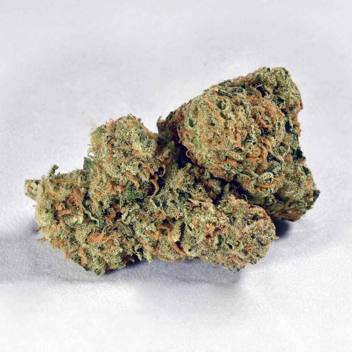 Jack Herer Strain