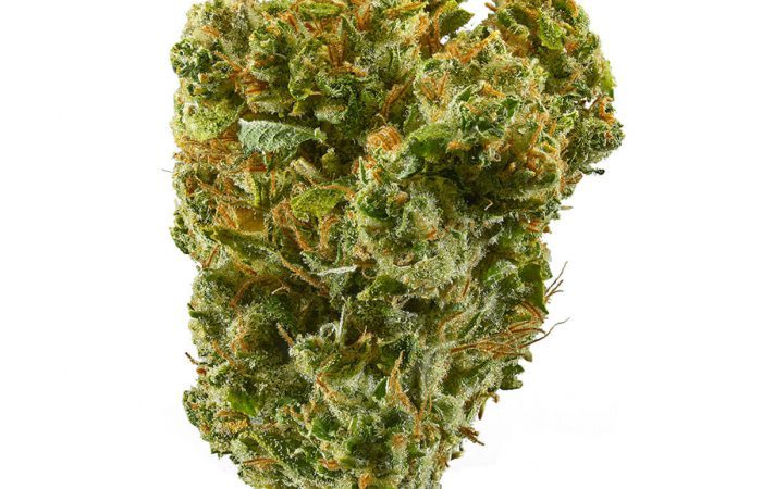 Super Silver Haze Strain