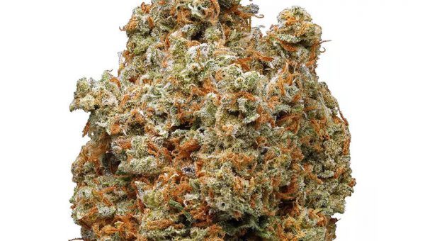 Lemon Kush Strain