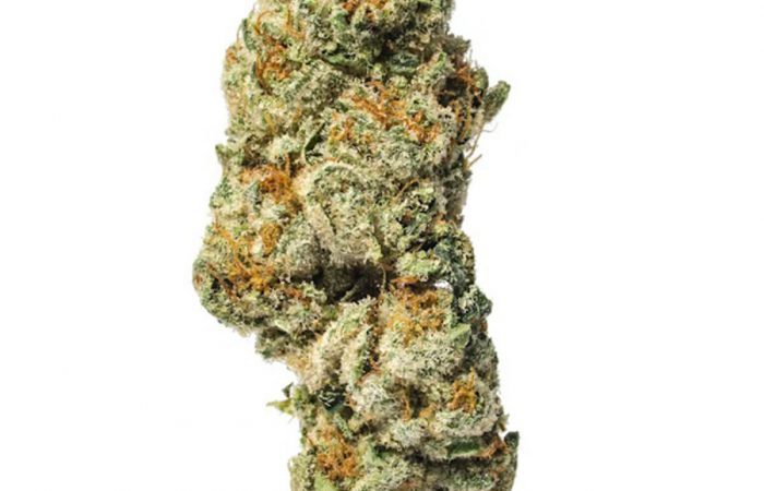 Triangle Kush Strain