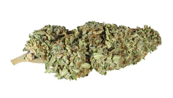 Bruce Banner 2.0 Strain