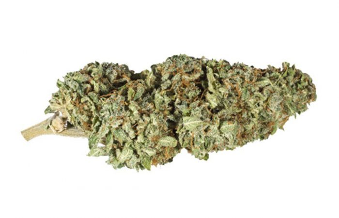 Bruce Banner 2.0 Strain