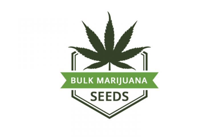 Bulk Marijuana Seeds