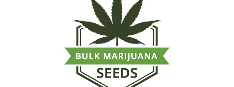 Bulk Marijuana Seeds