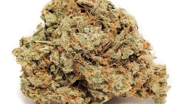 Grandaddy Bruce Strain