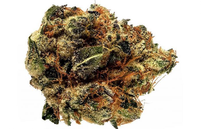 Purple Star Killer Strain