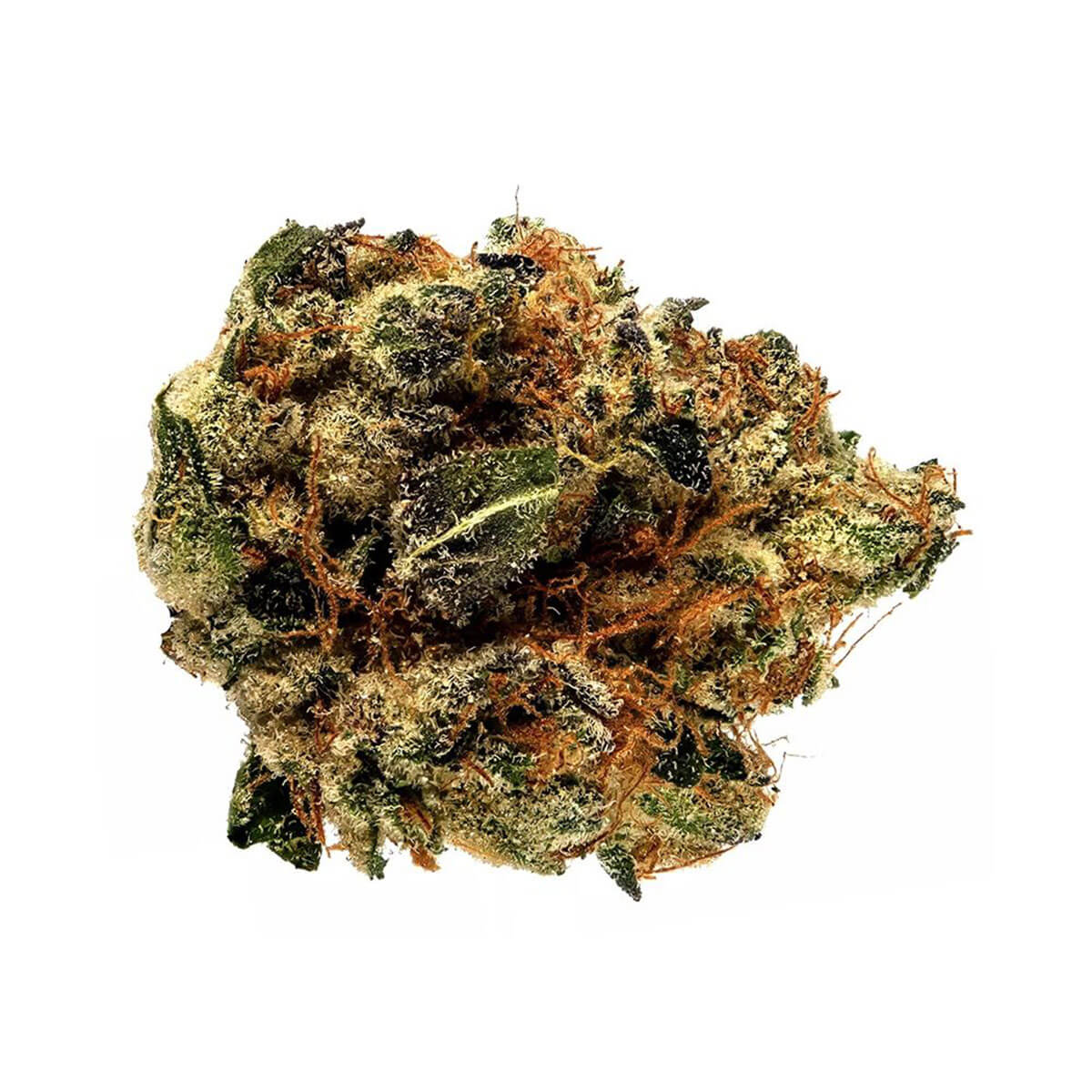 Purple Star Killer Strain