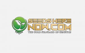 Seeds Here Now seedbank review