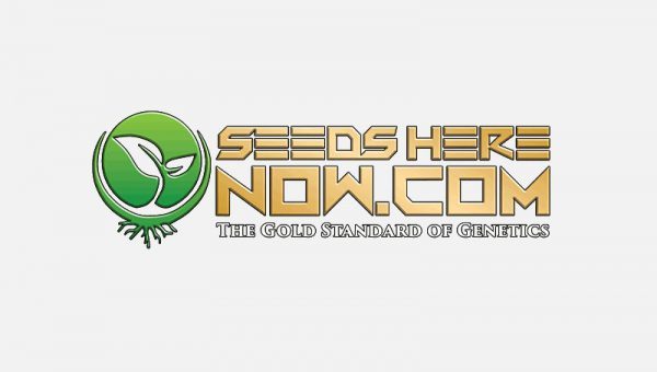 Seeds Here Now Logo