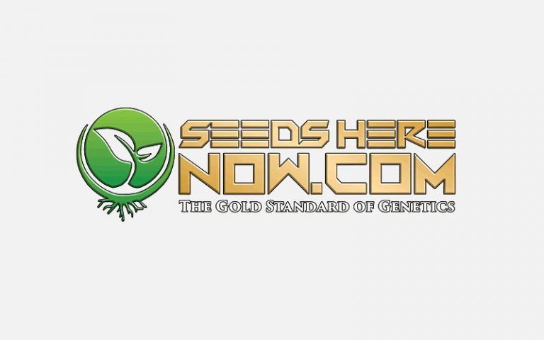Seeds Here Now