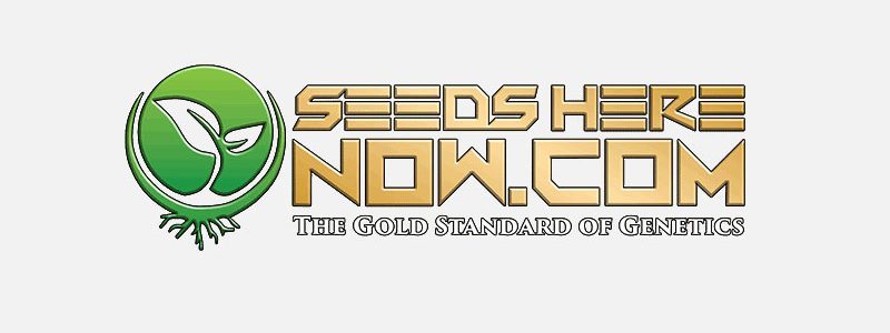 Seeds Here Now Logo