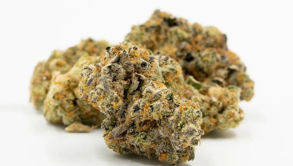 Candy Punch Strain