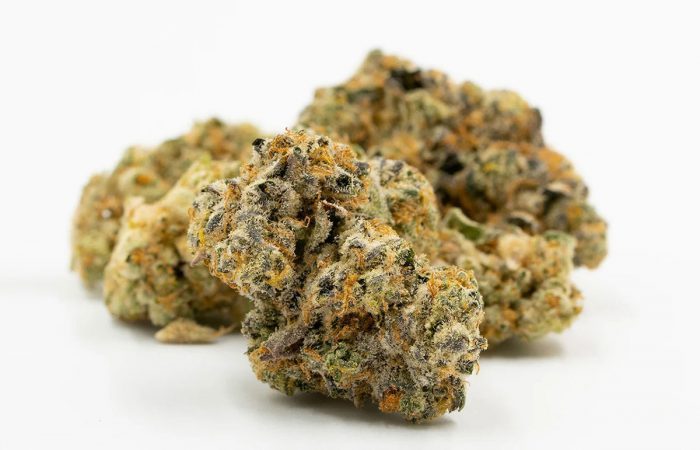 Candy Punch Strain