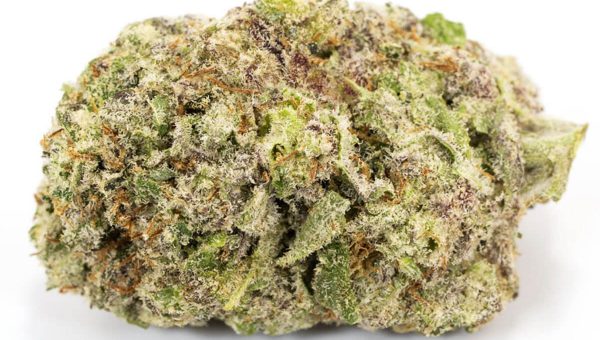 Wedding Cake Strain