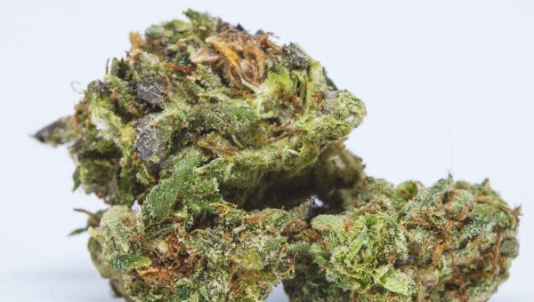 Big Blue Strain