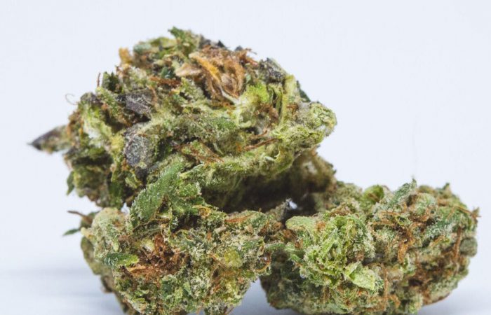 Big Blue Strain