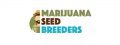 Marijuana Seed Breeders