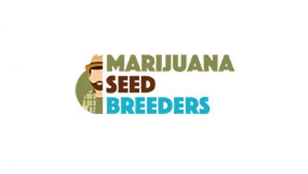 Marijuana Seed Breeders