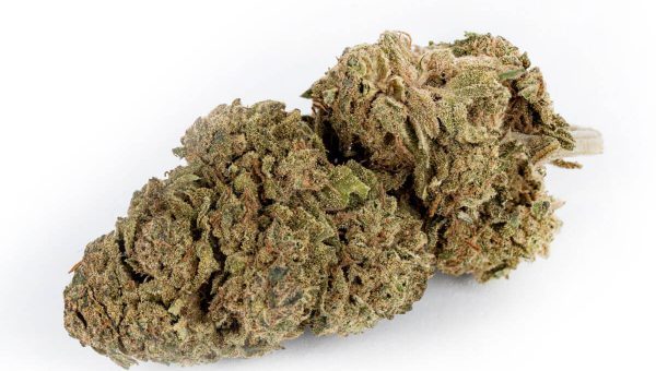 White Widow CBD Strain